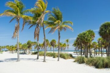 Traumziel Florida – ein Land mit vielen Sehenswürdigkeiten und traumhaften Villen