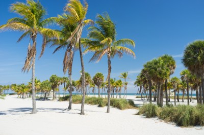 Traumurlaub in Florida