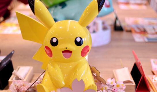 Kauf das beste Pokemon-Spielzeug für Deine Kinder
