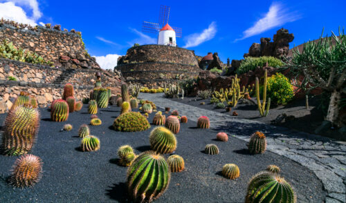 Insel Lanzarote - Botanischer Kaktus-Garten, beliebte Attraktion auf den Kanarischen Inseln