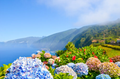 Farbenfrohe Blumen und schöne Nordküste der Insel Madeira, Portugal. 