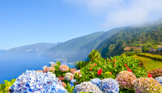 Farbenfrohe Blumen und schöne Nordküste der Insel Madeira, Portugal.
